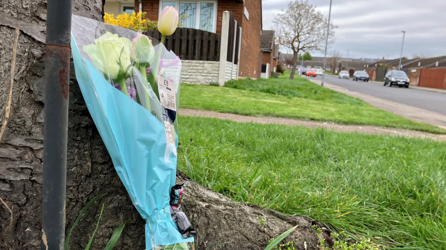 A bunch of white and yellow flowers leaning against a wall on a residential street. Houses on either side of the street and cars parked along the street.