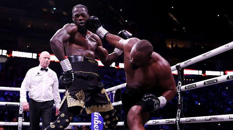 Deontay Wilder is punched by Deontay Wilder