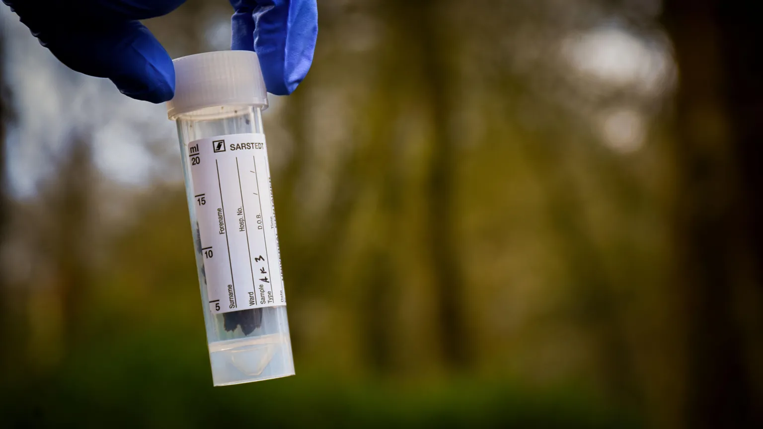 Trentham Monkey Forest A hand inside a blue glove is holding a clear plastic test tube with a white label and a white lid on it. The background appears to be outdoors in a woodland area.