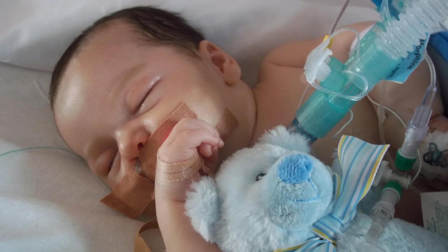 Cotter Family A young baby lying in a hospital bed, with medical equipment around him and clutching a blue stuffed bear.