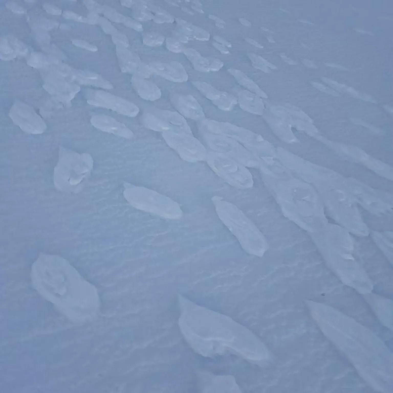 SAIS Lochaber The frozen footprints are slightly above the rest of the snowy ground. They look like white blobs.