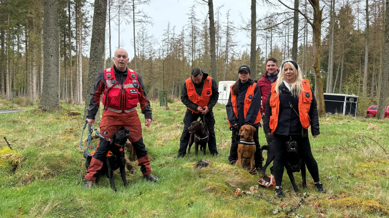 Group of people wearing high-visibility orange vests standing in woodland with their dogs.