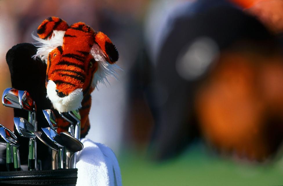 A tiger headcover used by Tiger Woods to protect his driver. A blurred image of Woods is next to the headcover.
