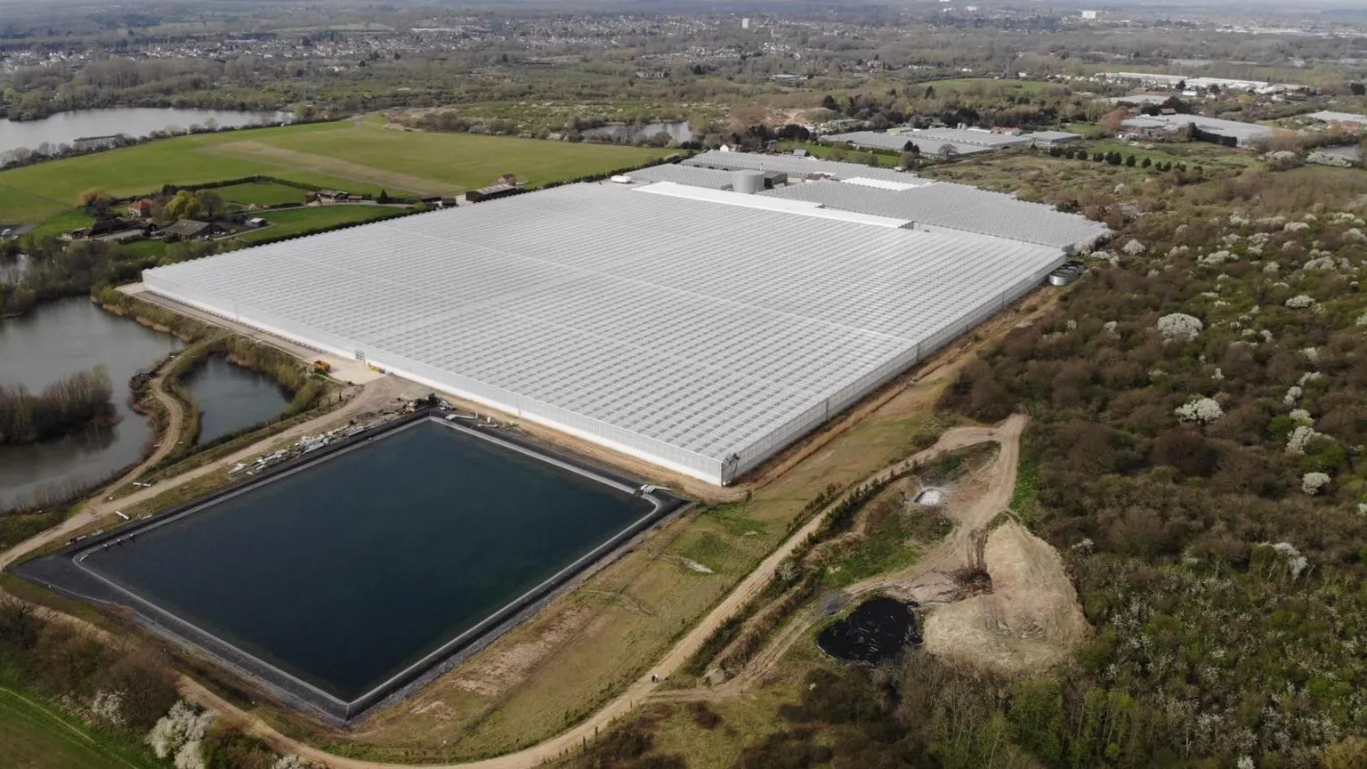 Lea Valley Growers’ Association A drone shot of the land surrounding the Lea Valley Growers’ Association. The image shows large greenhouses surrounded by lakes and grassland.