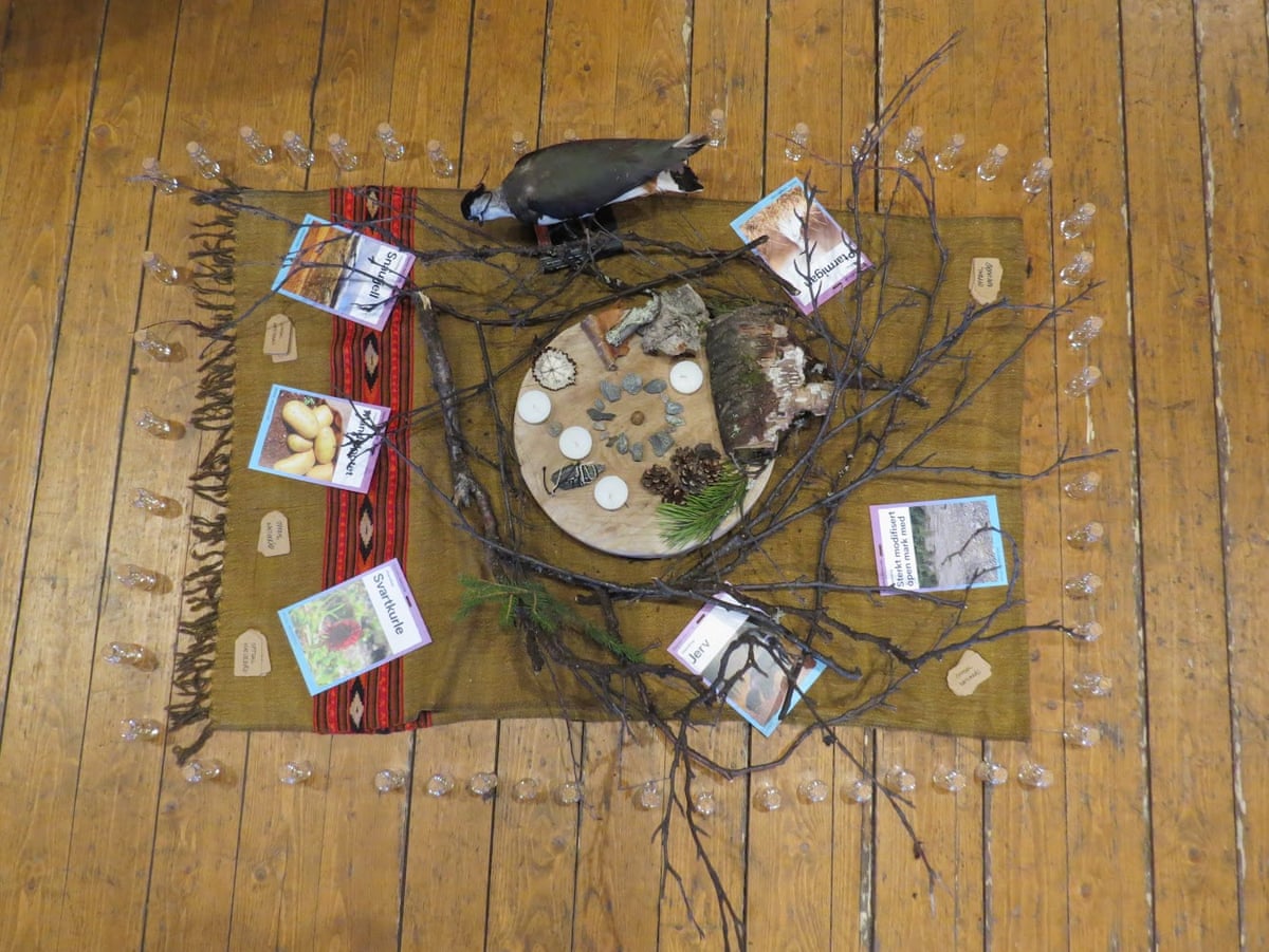 A mat is decorated with branches and other items, a bird and ID cards representing various species whose needs and challenges are discussed by the council
