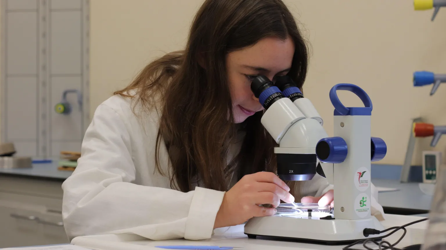 The National Botanical Garden of Wales A person wearing a white lab coat sits at a workstation and leans over a microscope, examining seeds or plant material under bright laboratory lighting.