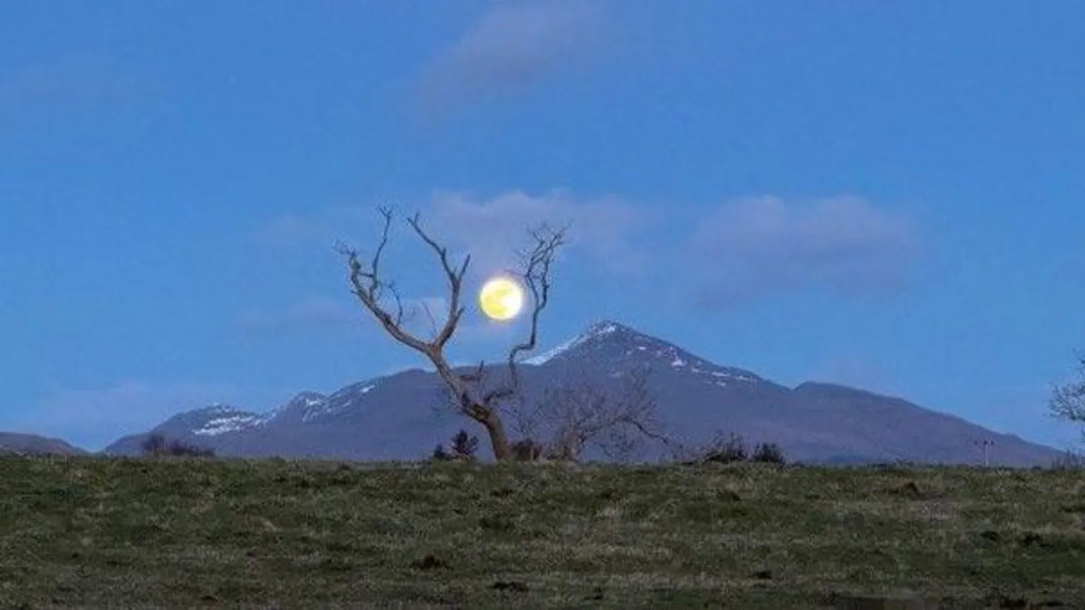 Roland Armes A full moon sits between the branches of a bare tree, set before a dark, snow-dusted mountain beneath a calm blue evening sky. 