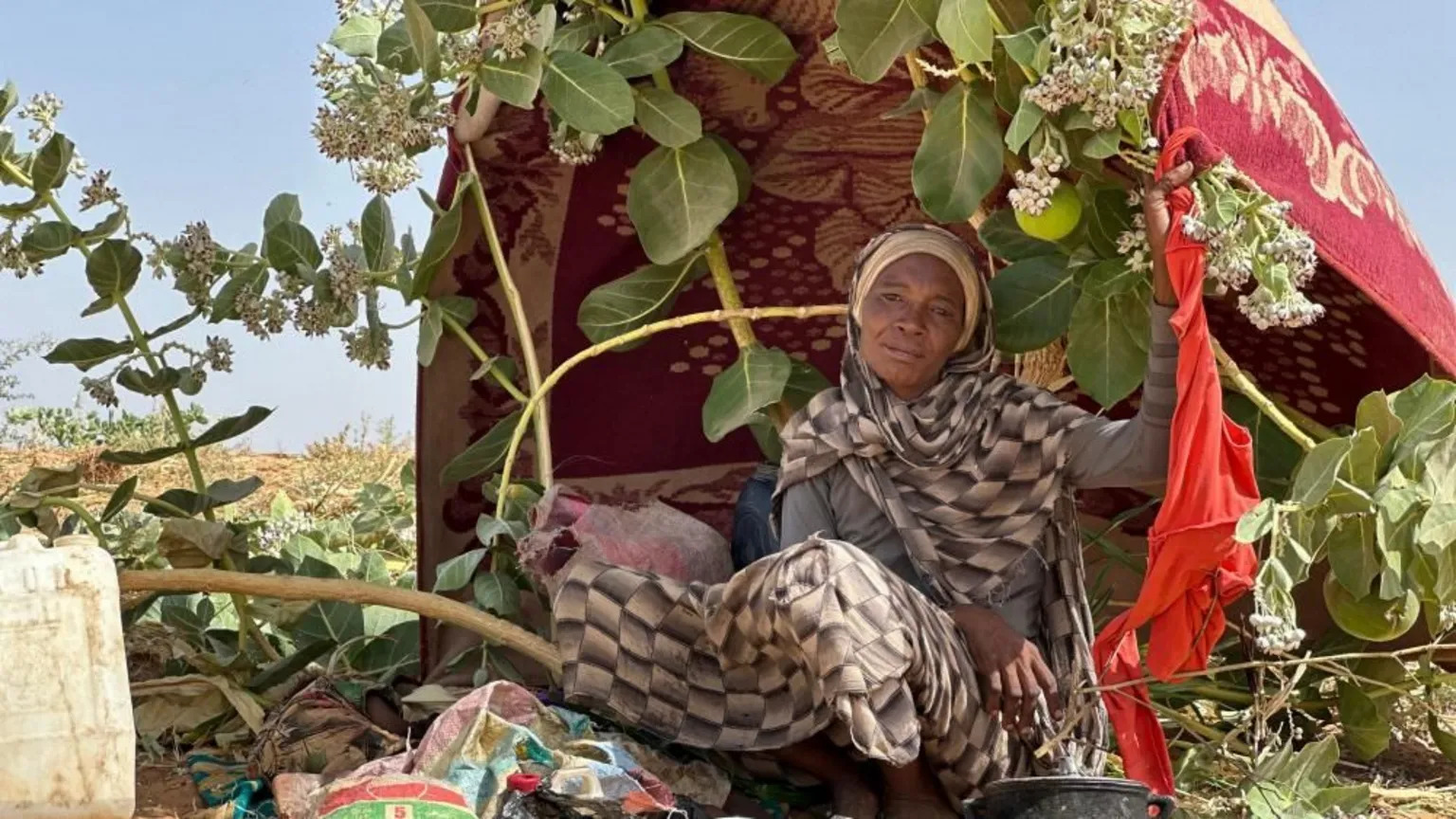 EPA A Sudanese woman, who fled from the internally displaced persons (IDP) Zamzam camp, looks on while on her way to the Tawila Camps amid the ongoing conflict between Sudan's army and the Rapid Support Forces (RSF), in North Darfur, Sudan, 14 April 2025