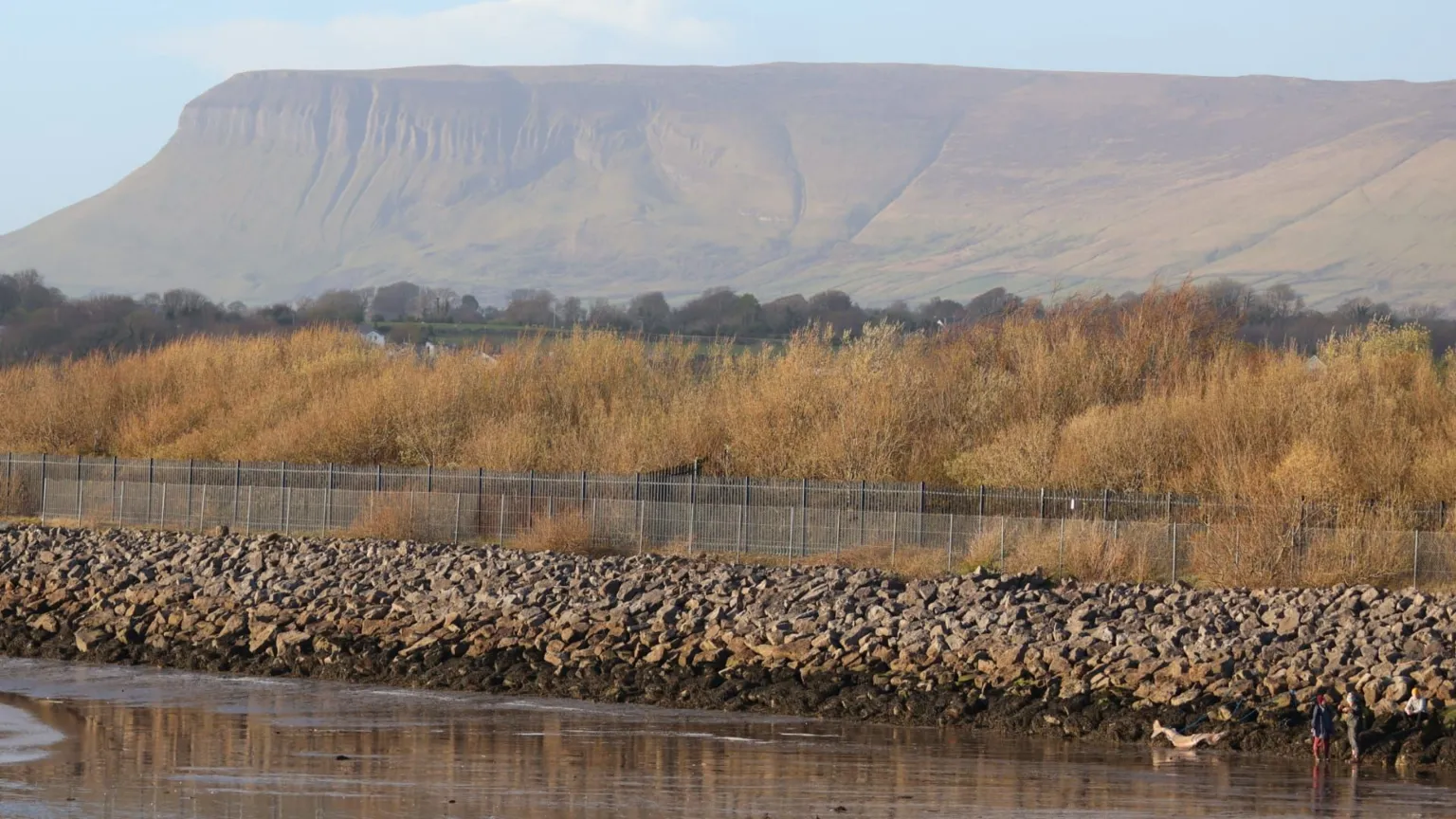 Emilie De Loose, IWDG In the background is a mountain in County Sligo - Benbulbin - to the bottom right of the picture the body of a shark can be seen 