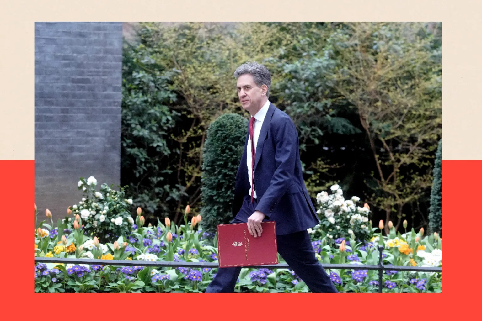  Ed Miliband walking in Downing Street, carrying a red briefcase. There are slpring flowers in bloom behind him, including orange tulips.