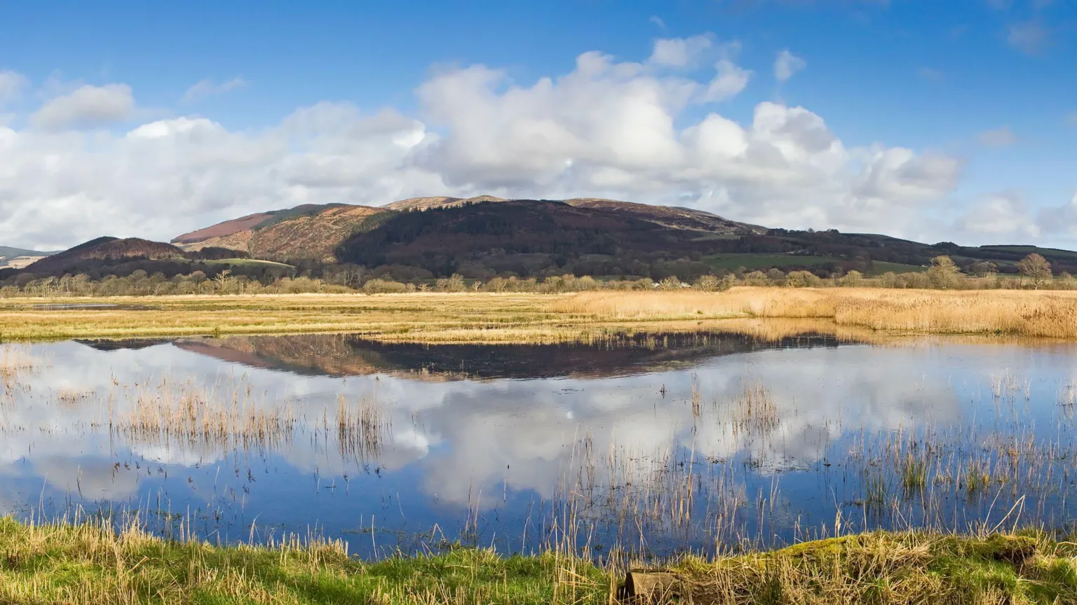  A view of the Mersehead nature reserve looking across a pool of water towards a reflected hill in the distance an a day with blue sky and a few clouds