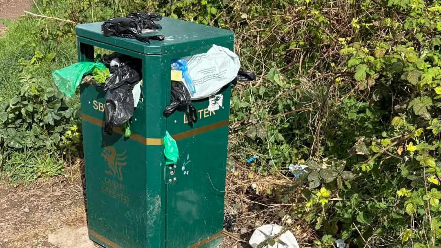 Sally Anne Green litter bin in park overflowing with litter.