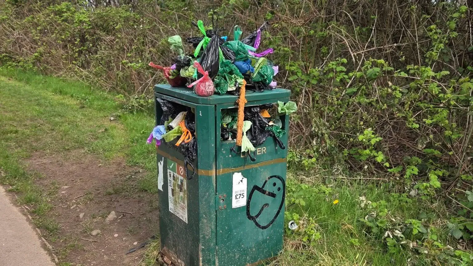 Lee Mason A litter bin in a park in Cardiff full of bags of dog waste. On top of the bin there are piles of dog waste bags.