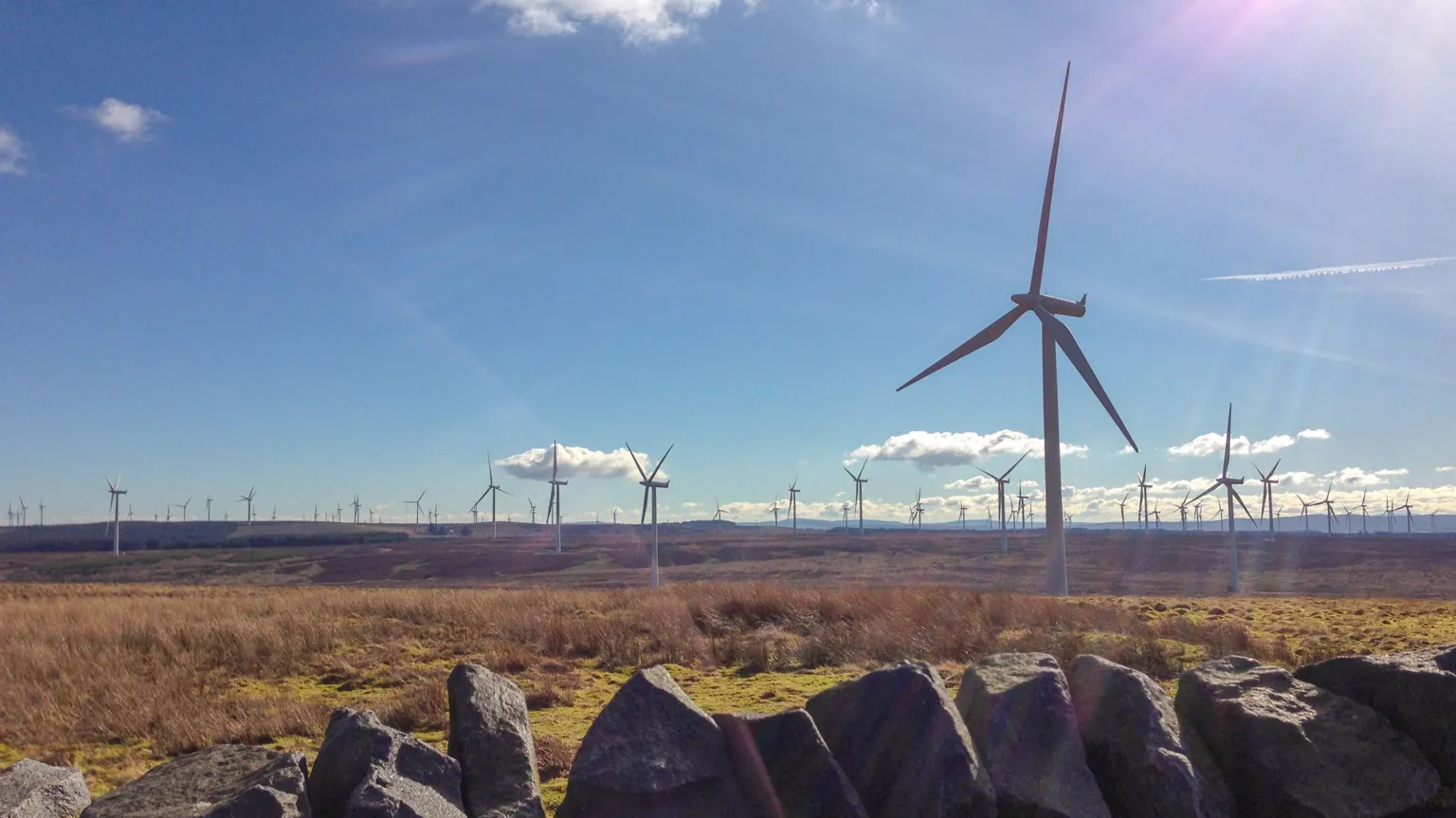  An image of the Whitelee wind farm in rural Scotland, with scores of turbines pictured stretching to the horizon under a clear blue sky