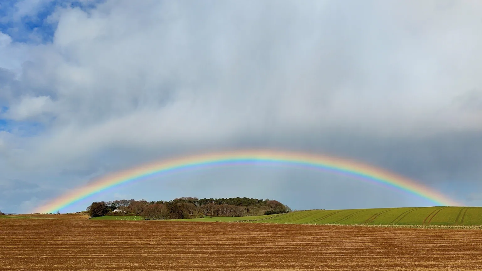 Jackie Willox A rainbow over fields and trees under a cloudy blue sky.
