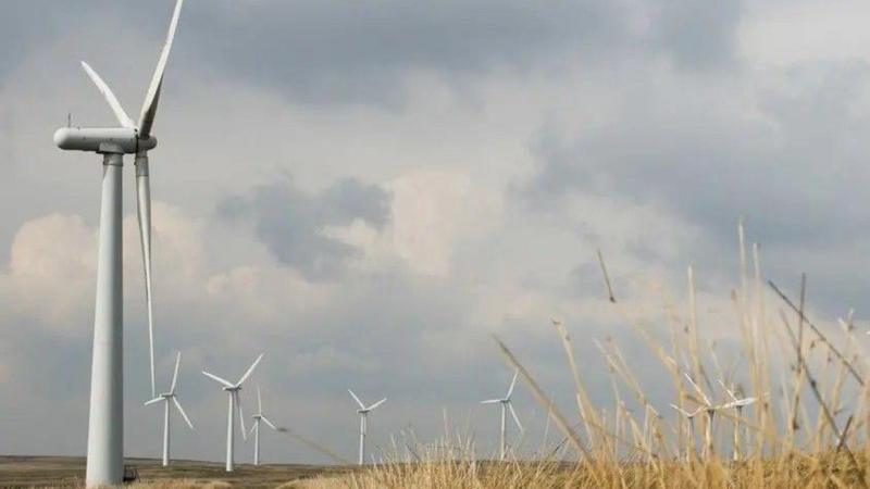 Mae nifer o dyrbinau i'w gweld mewn cae, mae'r awyr yn llwyd uwchben ac mae'r glastwellt yn felyn ar y ddaear. 