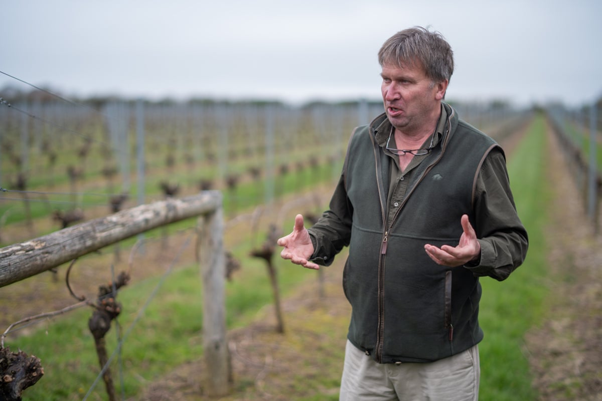 Justin Langham, managing director of Langham Wine Estate in Dorset.