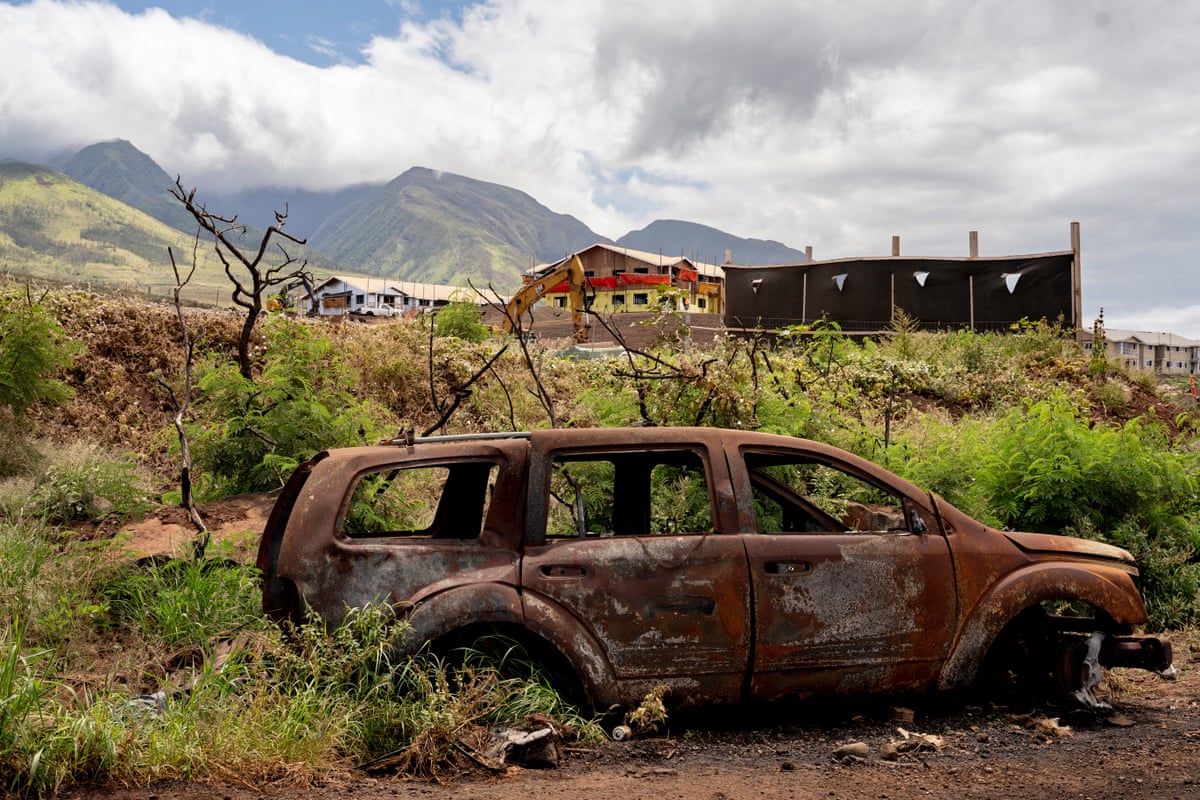 a burned car in front of a grassy plot of land near a housing complex