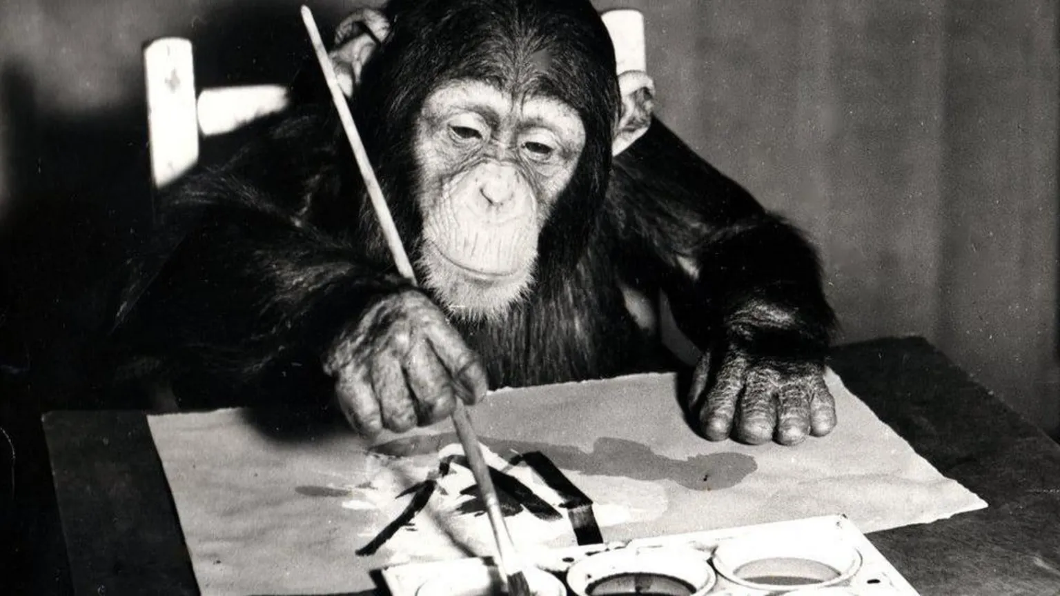  Congo the chimp is in a black and white photo of him painting a piece of paper with a paint brush