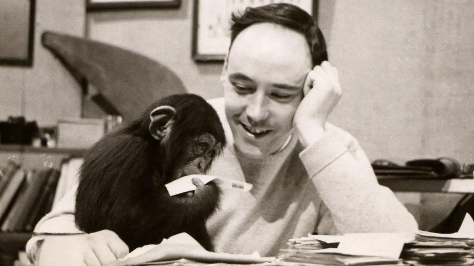  Desmond Morris and Congo the chimp (as a baby)