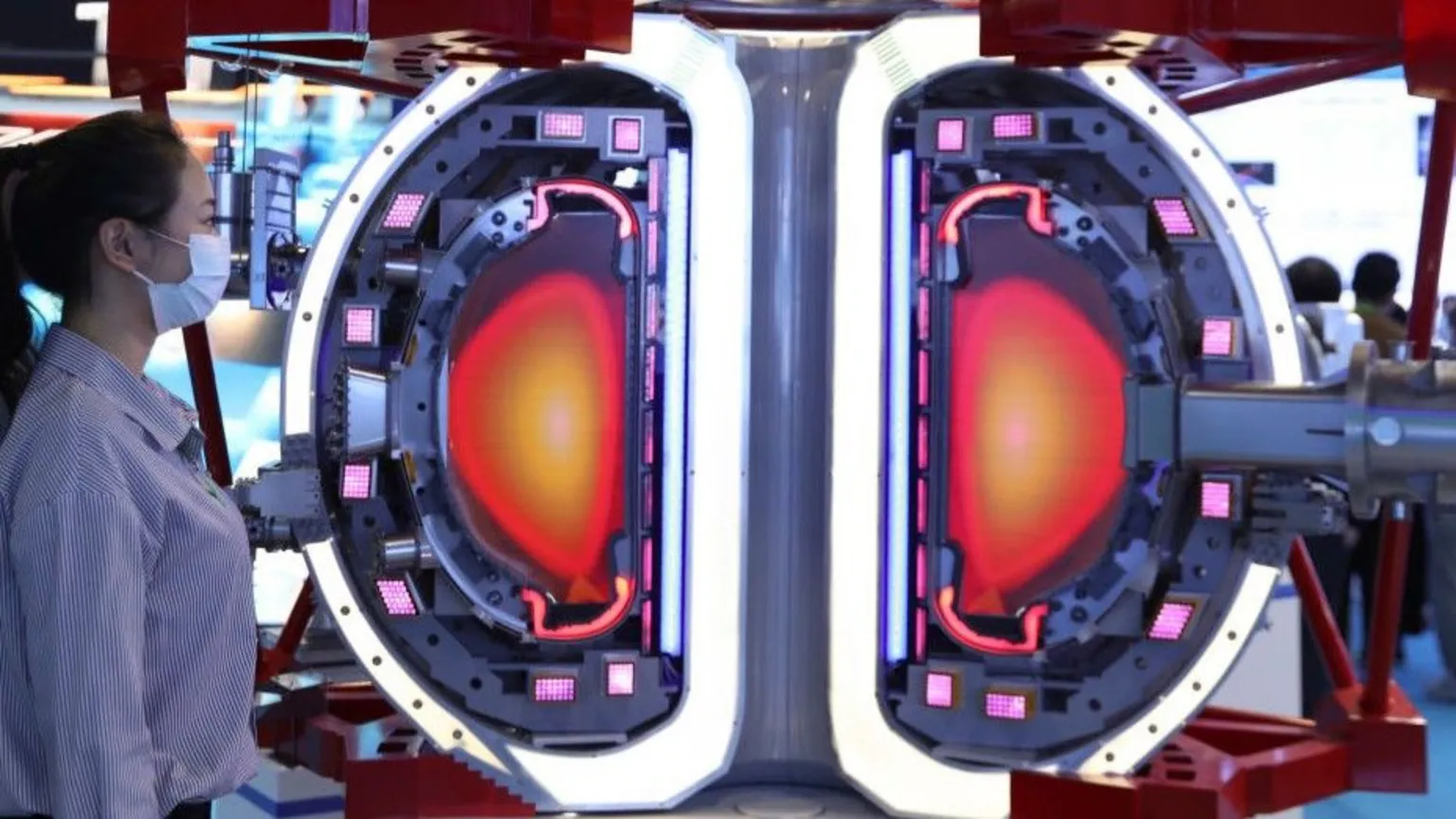  A cut through of an apple-shaped tokamak. In the middle is red plasma, surrounded by D-shaped magnets.