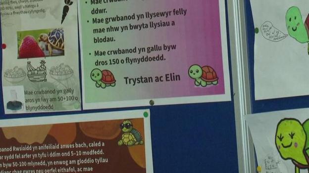 Posteri ar wal y dosbarth