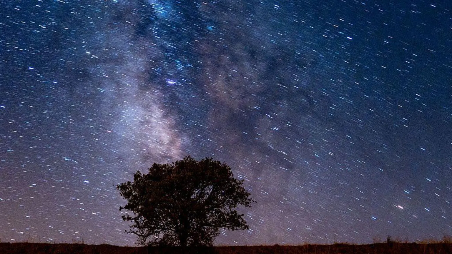  A view shows the Milky Way galaxy shining brightly above a lone tree in a field, captured with long-exposure photography in Ankara, Turkiye, on August 23, 2025. (Photo by Ercin Erturk/Anadolu via )
