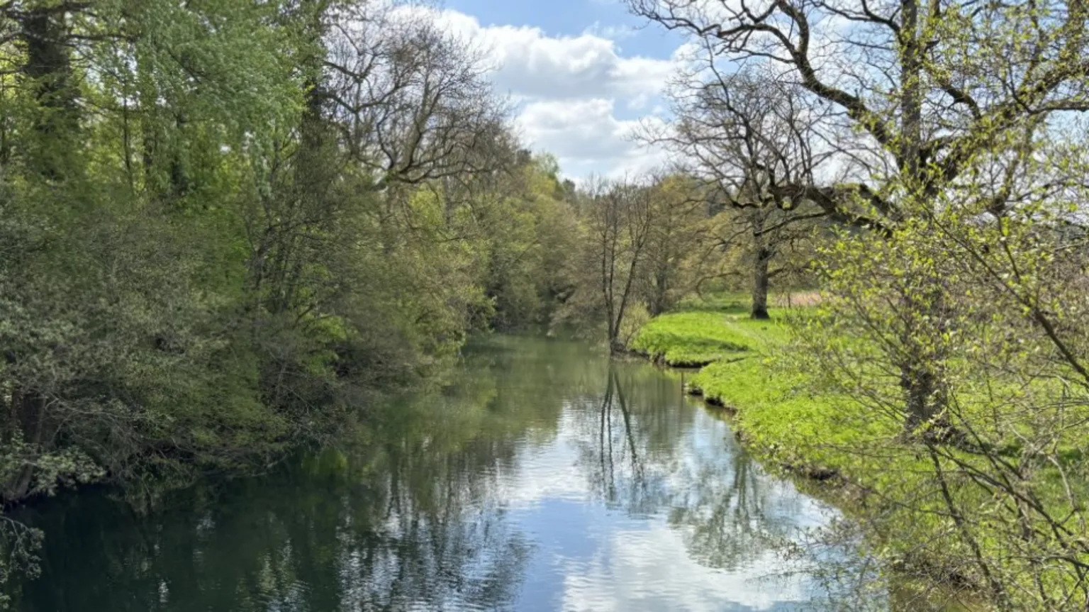 A small river with grass and trees on either side