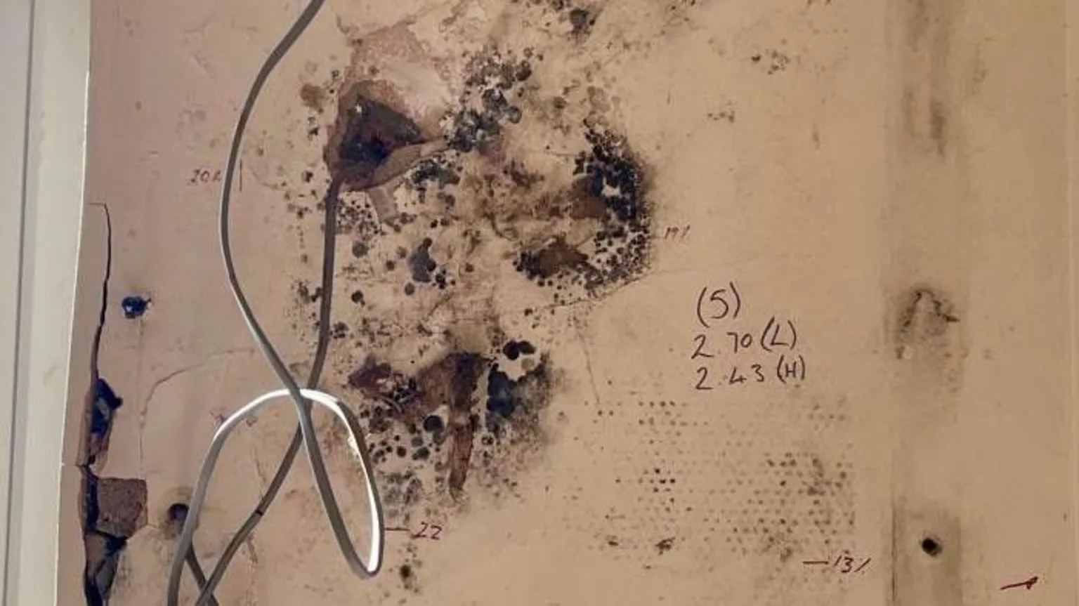 Black mould growing on the living room wall of a house