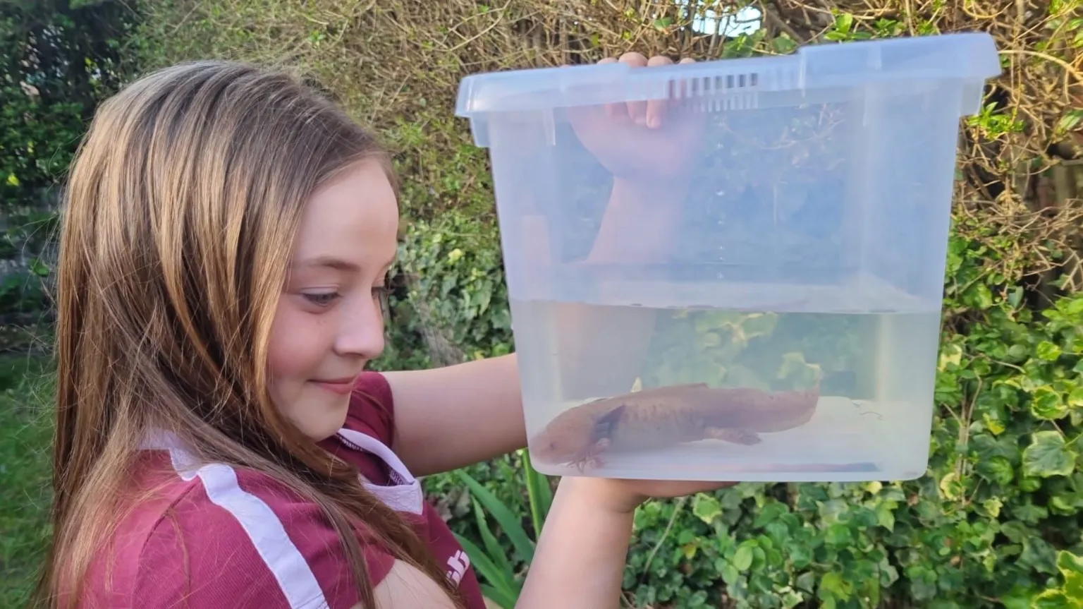 Melanie Hill Evie holding the axolotl in a container filled with water