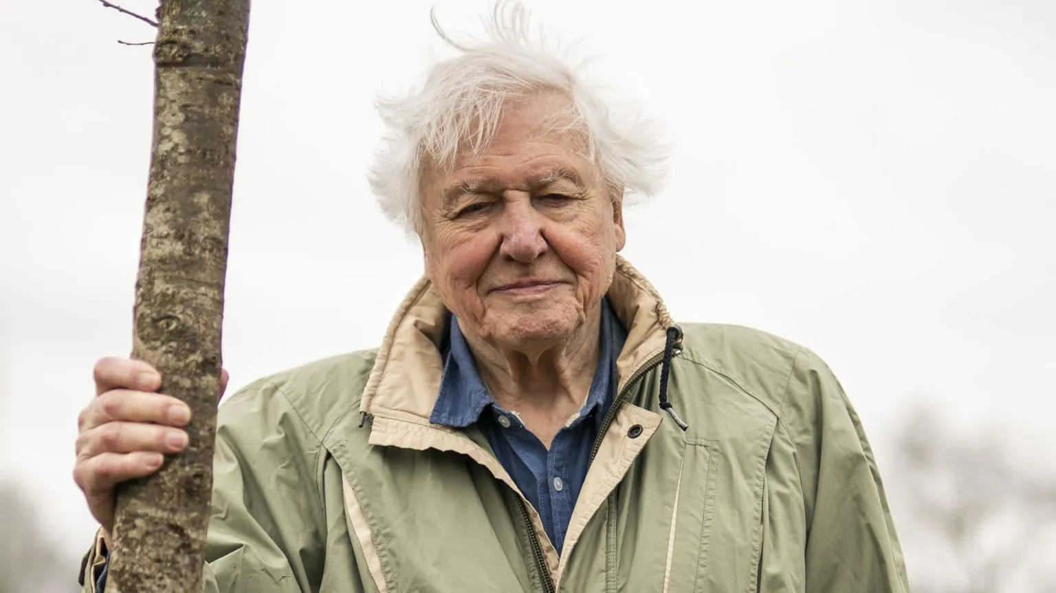  Sir David Attenborough holding on to a tree. He is standing outside and is looking directly at the camera and smiling. He is wearing a blue shirt with a waterproof coat over the top.