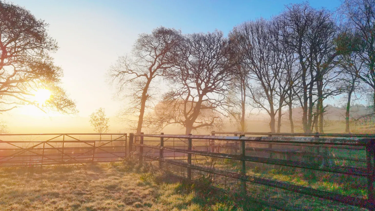 BBC Weather Watchers - Pia A frosty sunrise of a field surrounded by a fence with trees in the background. 