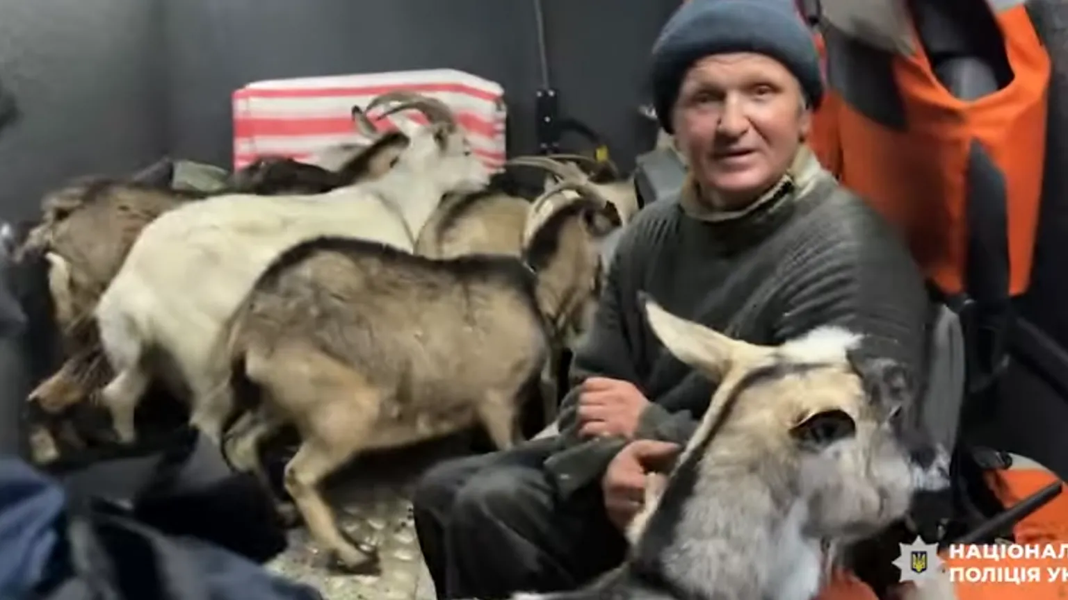 Sumy police of Ukraine A man sits with his goats
