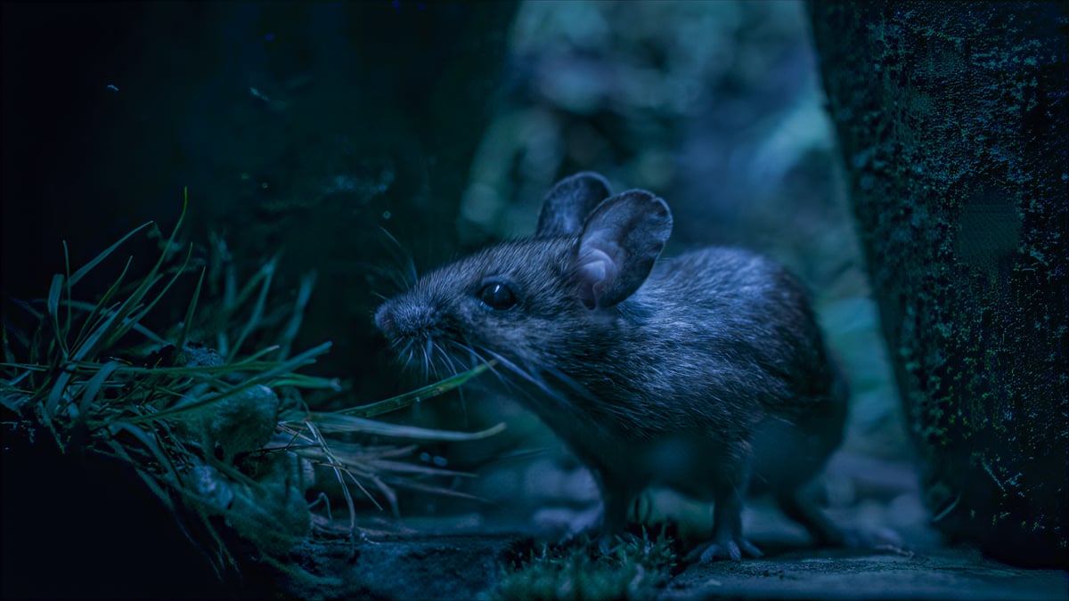 Secret Garden on BBC One.