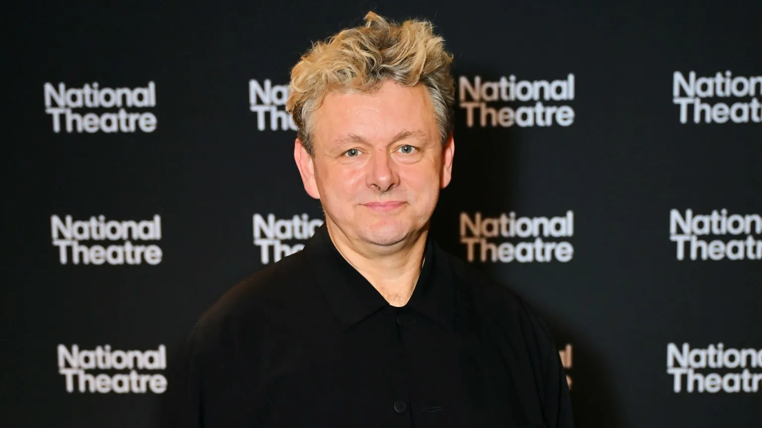 Dave Benett/ Michael Sheen at a film event.