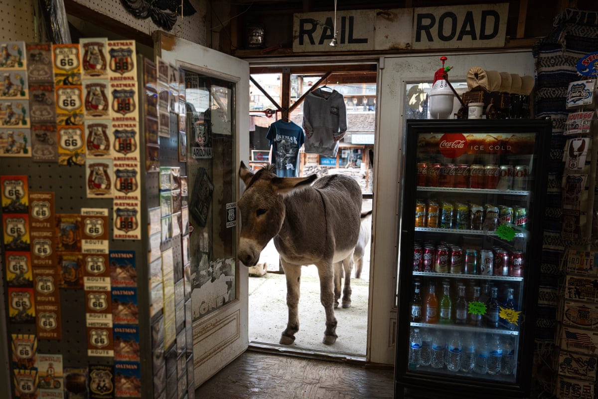 A donkey peeks into a souvenir shop