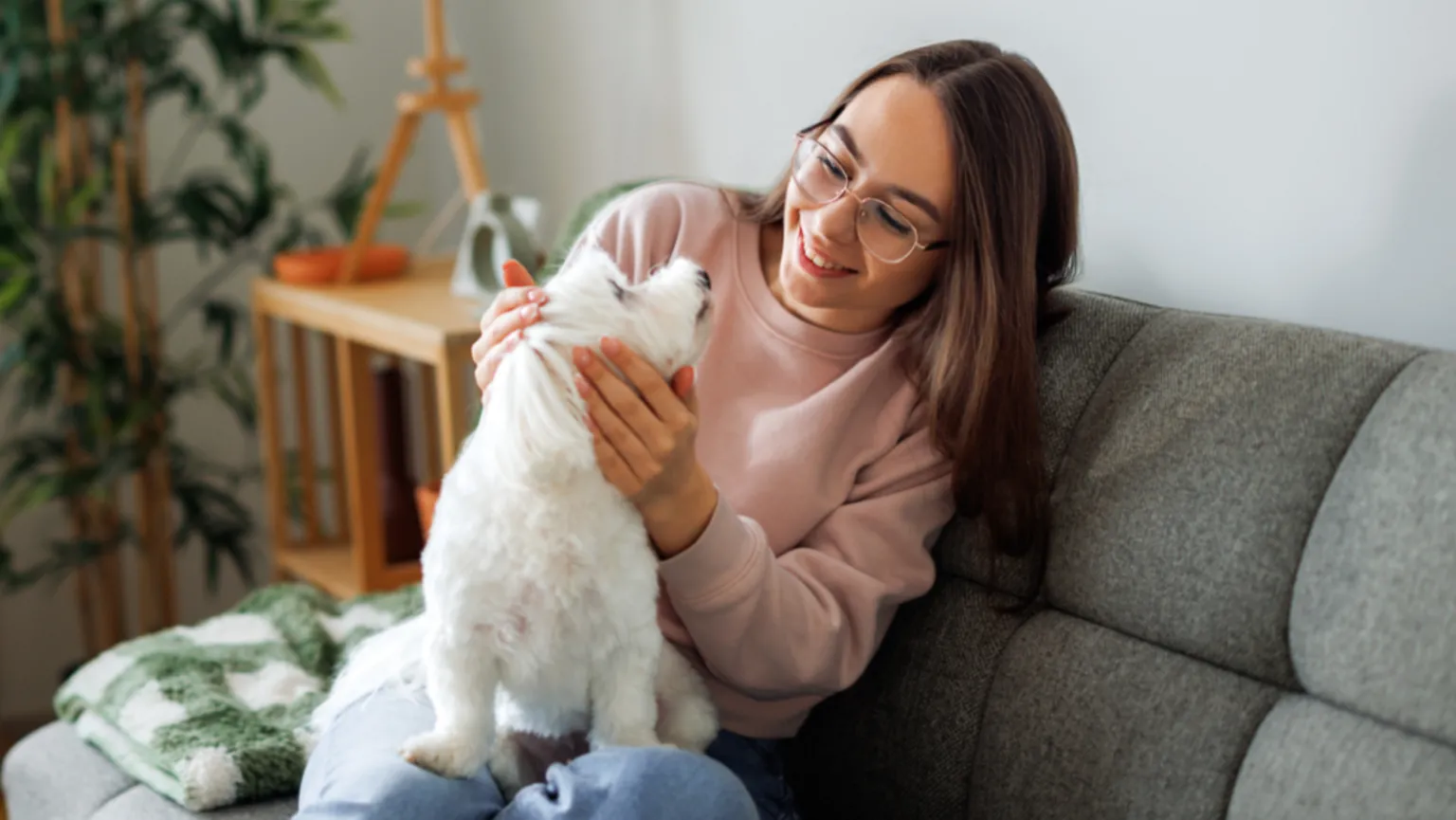  A young woman sits at home on a grey sofa cuddling her small white dog.