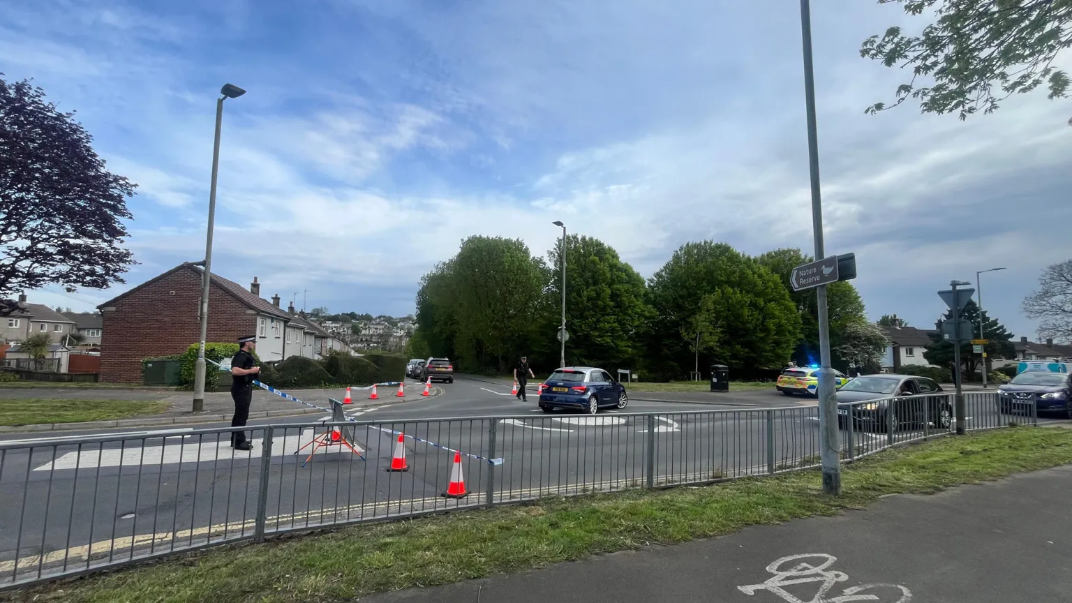 The picture shows a road junction in a residential area that has been partially closed off. In the foreground there is a pedestrian barrier beside a pavement with a painted bicycle symbol on the tarmac. Several orange and white traffic cones are placed across the road, some connected with blue and white police tape to block traffic.