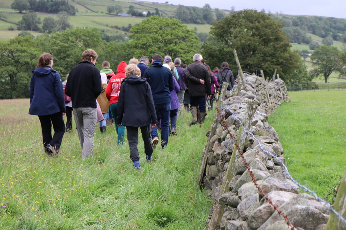 People walking by stone wall in field
