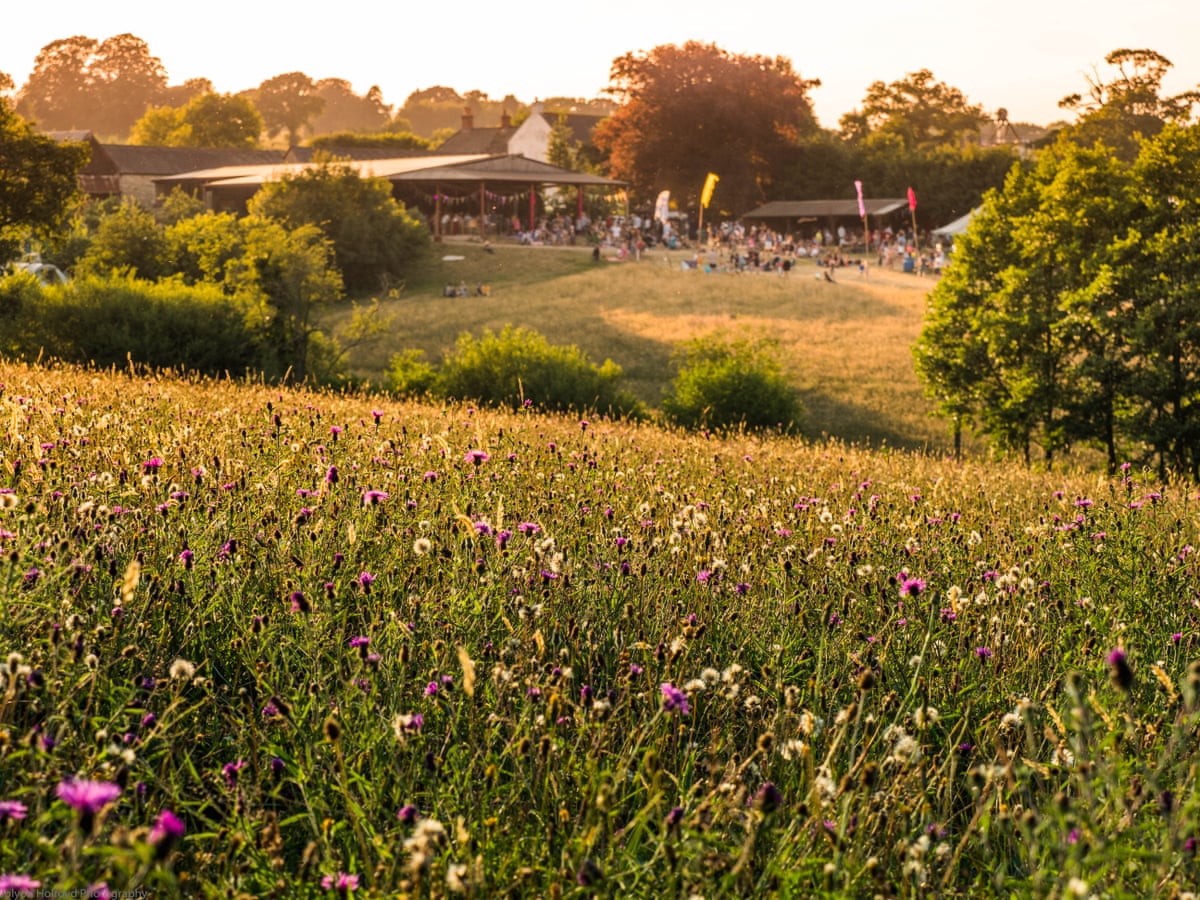 A wildflower meadow with festival in the distance
