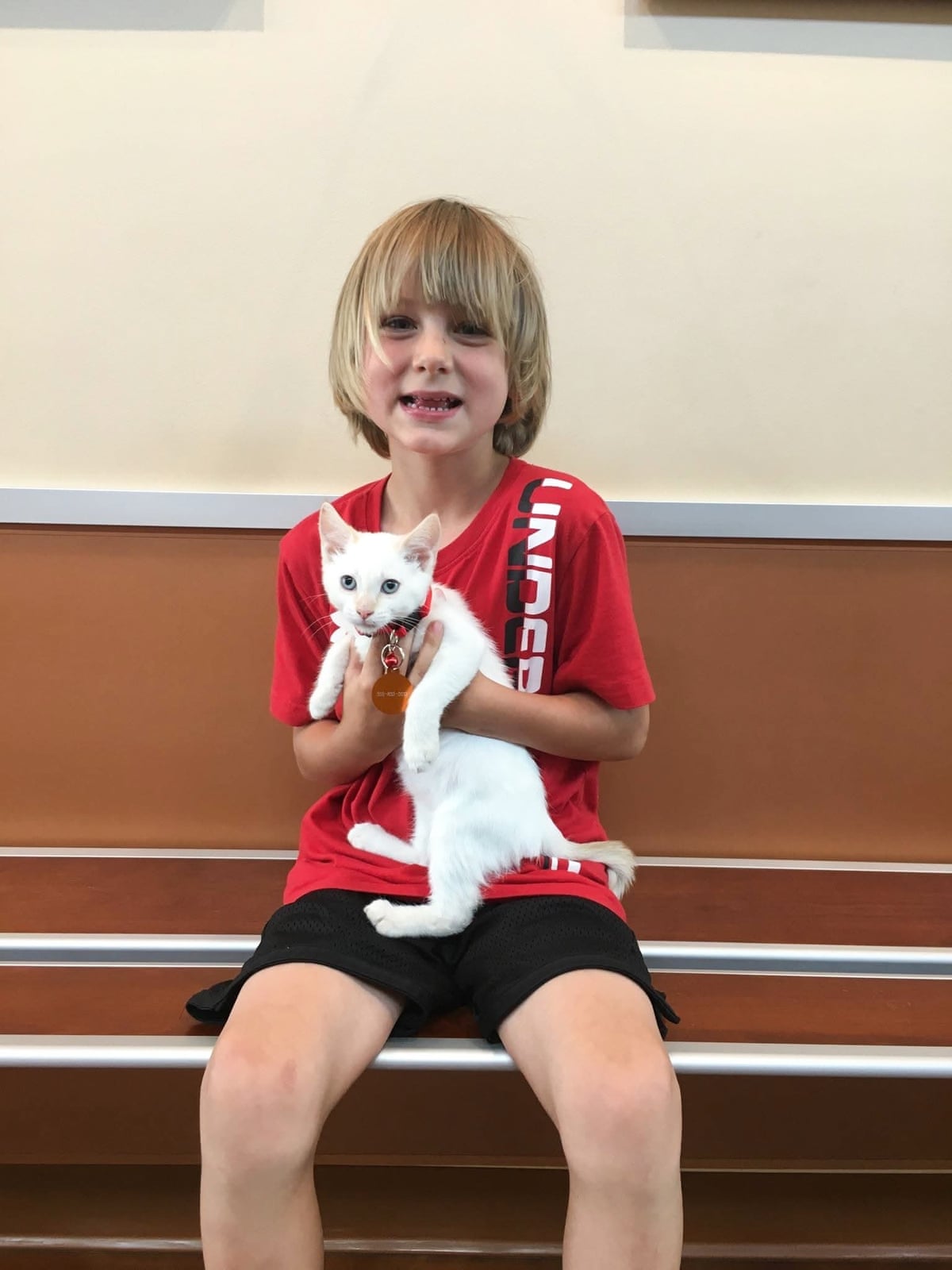 A child holds a kitten.