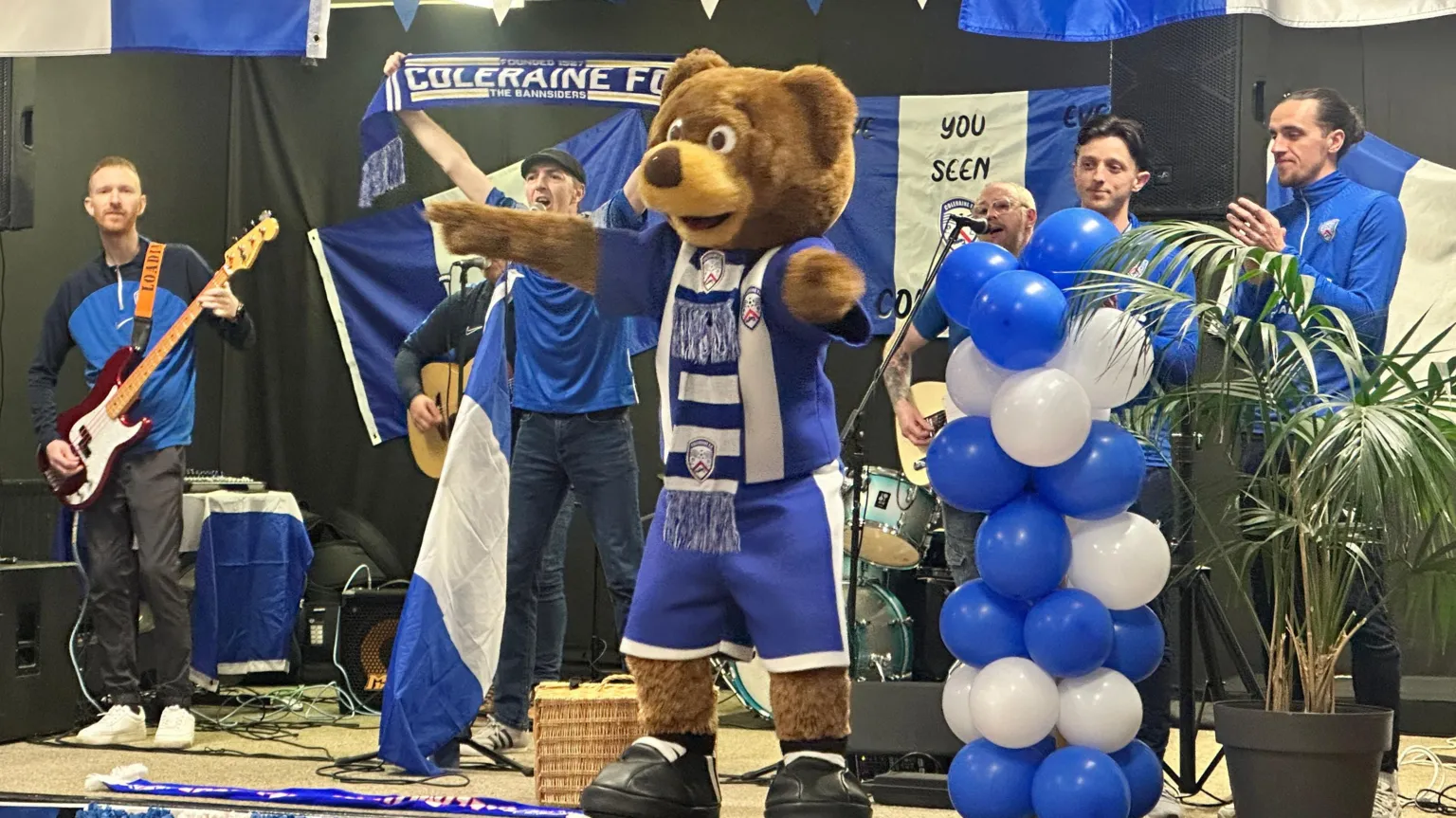 A person inside a large brown bear costume, wearing a Coleraine Football Club kit, is dancing on a stage. Behind the bear there's a band dressed in blue tops and there are lots of blue while balloons and Coleraine FC scarves and flags. 