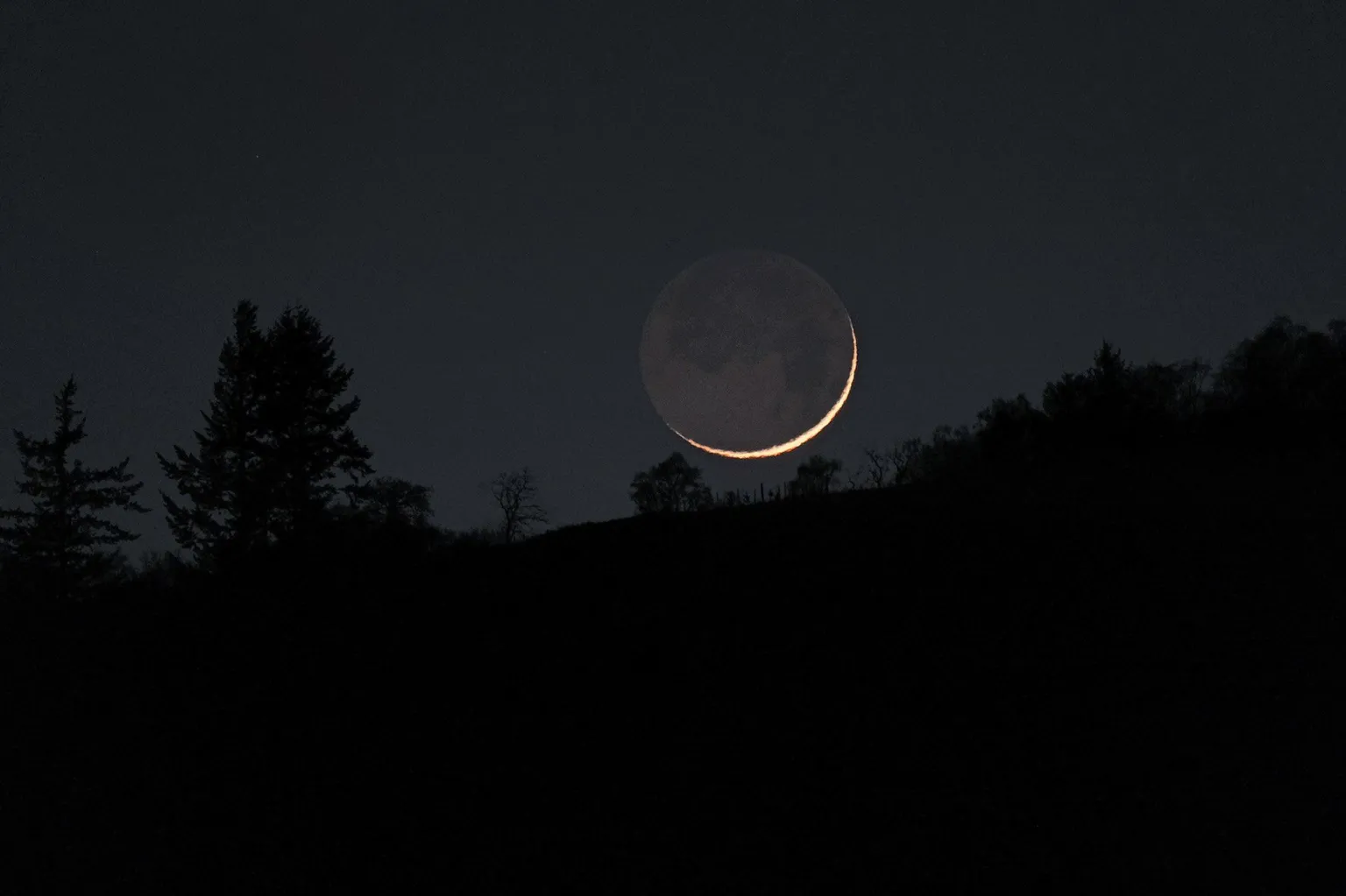 Neil Macmillan A dark night sky with the slither of a moon and the shadows of trees.