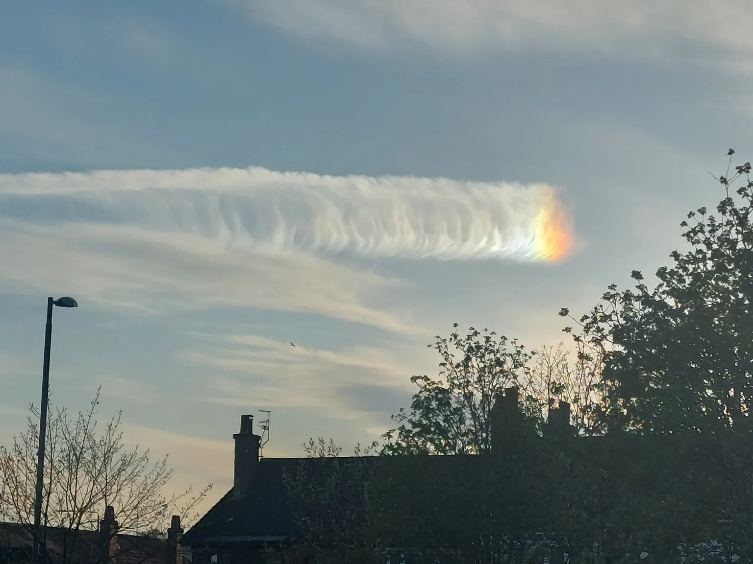 Ian Black A cloud with a rainbow reflection at the end. The silhouettes of houses and trees are in the foreground. 