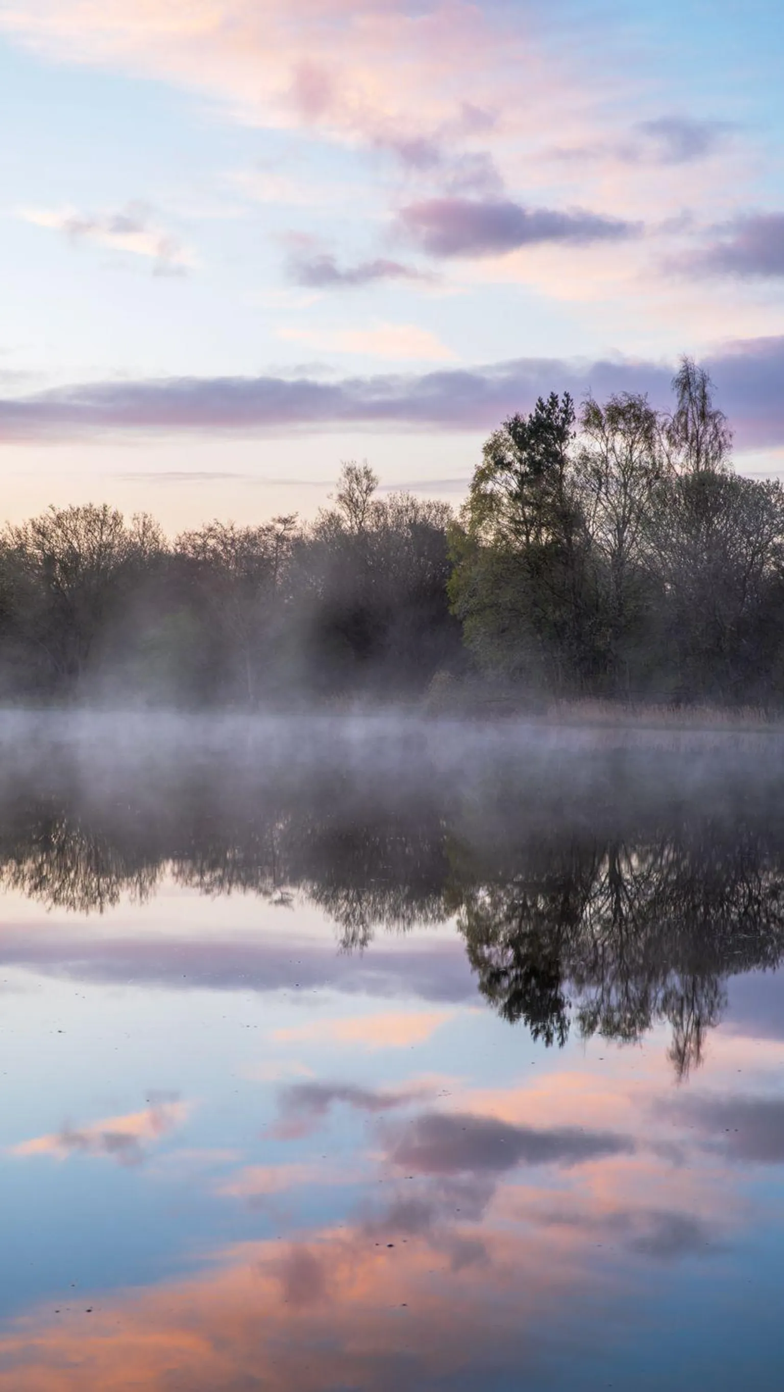 Hugh Maxwell Misty lake at dawn with trees reflected in still water beneath a soft pink and blue sky.