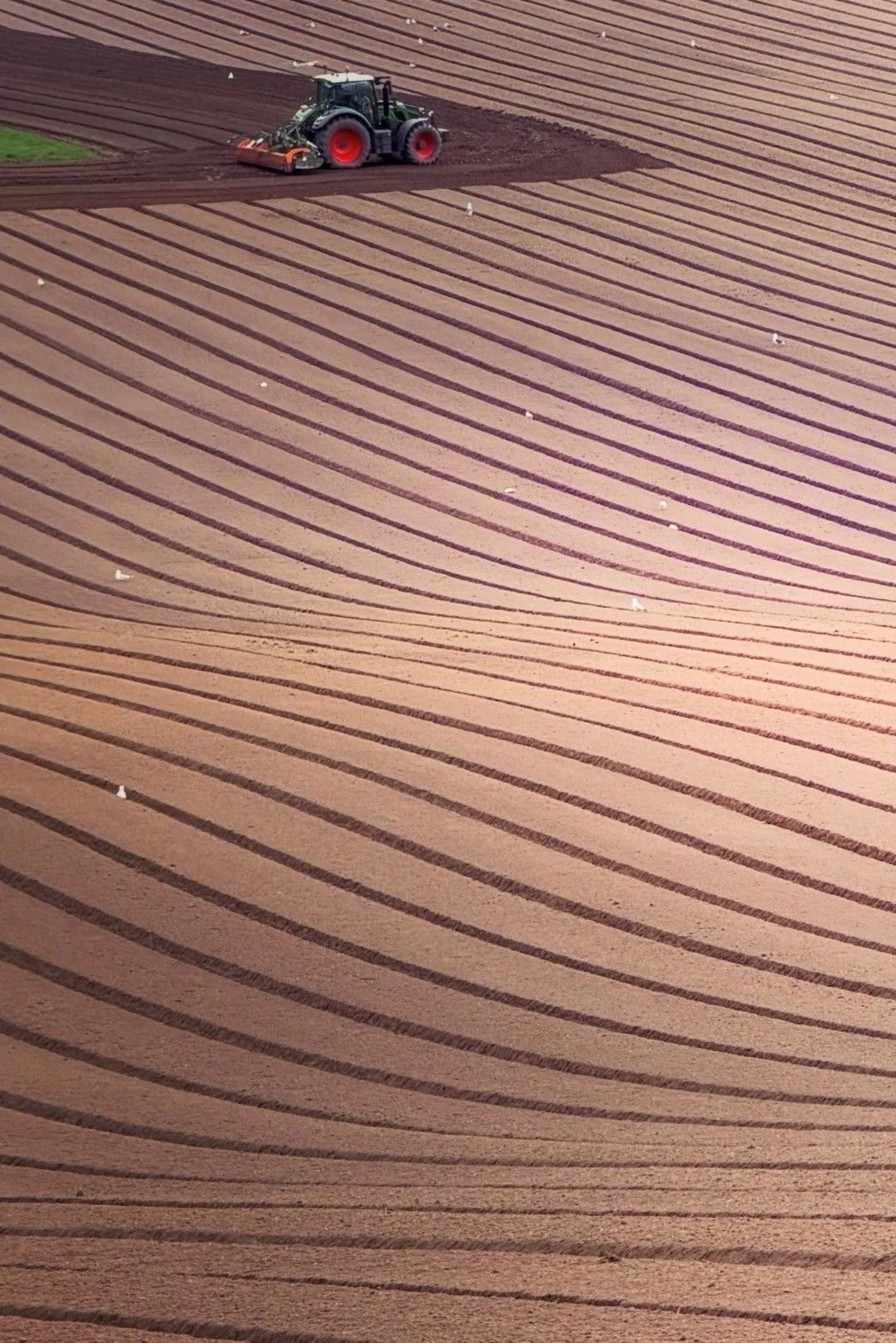 Hamish Spencer-Nairn An aerial view of a tractor with large red wheels ploughing curved rows across a large field, creating sweeping patterns in the soil.