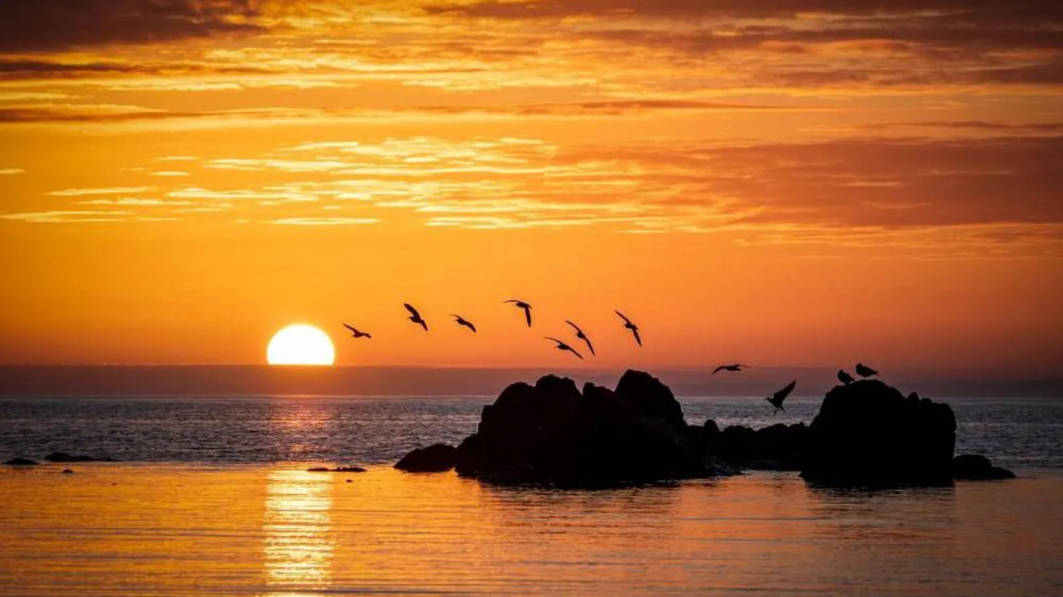 Robert Westerman Sun setting over the sea behind dark rocky outcrops, with birds flying across an orange sky and the sun’s reflection glowing on calm water.
