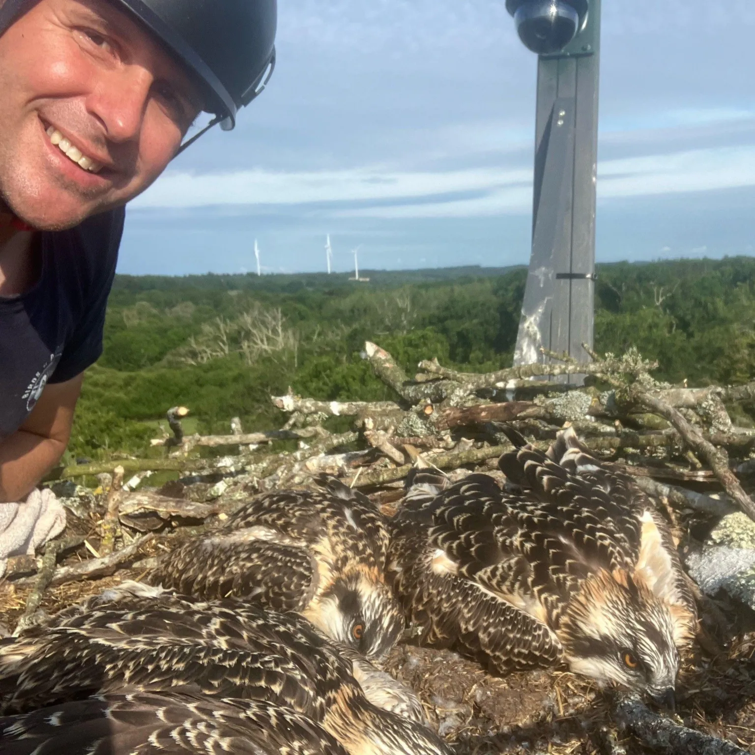 Birds of Poole Harbour Paul Morton peeps into top left hand corner of the picture. He is next to an osprey nest where birds are laying with their heads down.