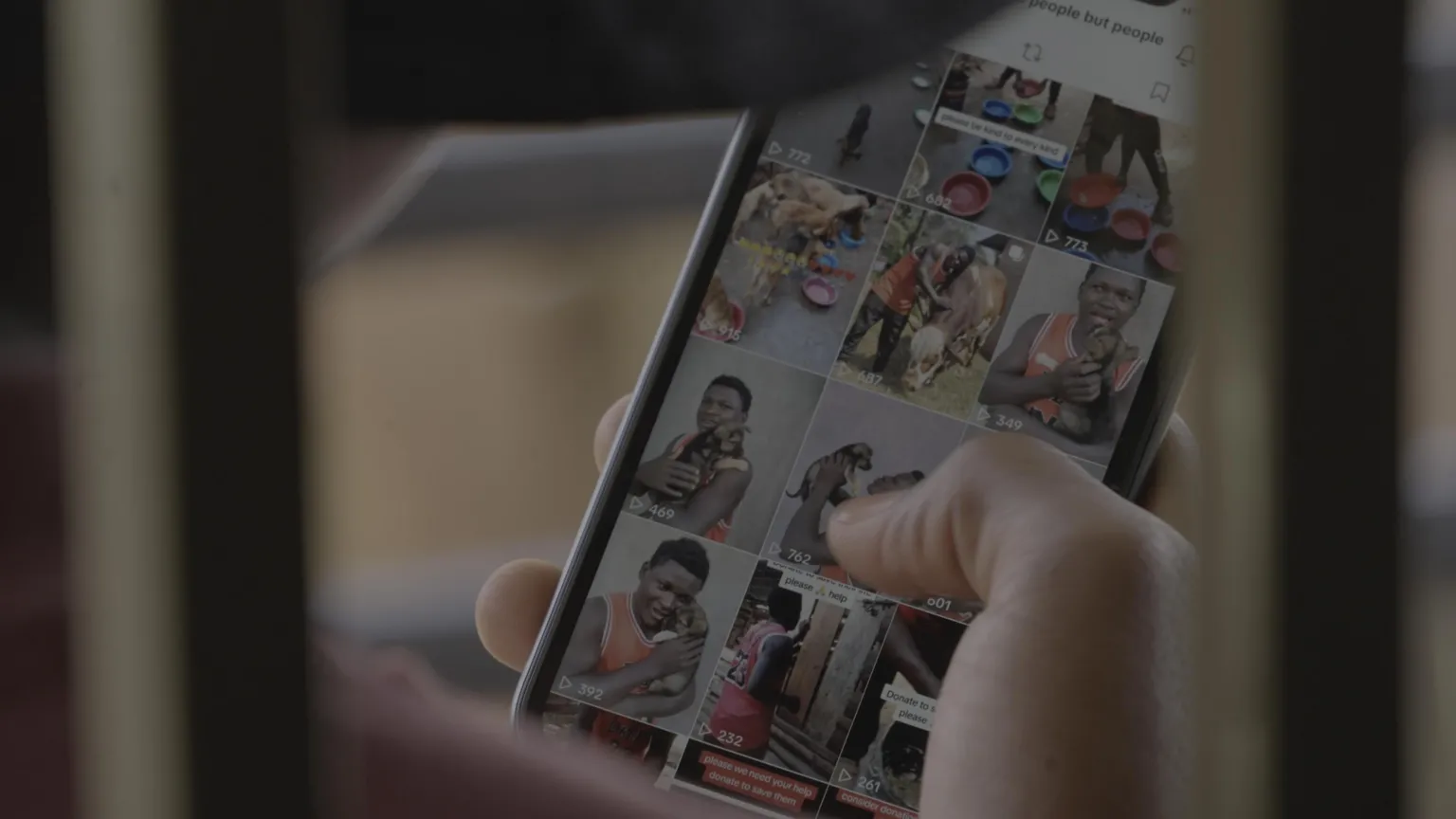A shot of a mobile phone screen with an Instagram account displaying pictures of dogs.