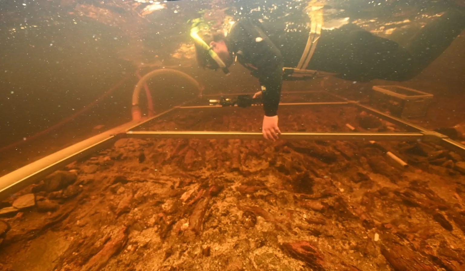  A diver floating in shallow water, holding what appears to be a metal frame just over the water bed. The diver appears to be examining a wooden platform nestled in the rocky, sandy bed.
